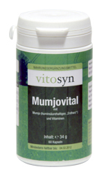 Metapharm Vitosyn Mumjovital 60 Caps