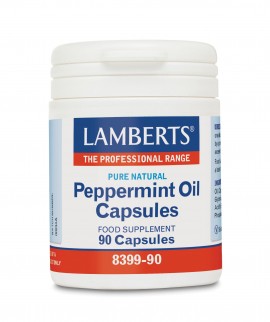 Lamberts Peppermint Oil 100mg 90 Caps