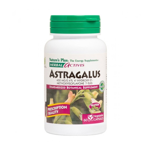 Natures Plus Astragalus 450mg 60 φυτικές κάψουλες