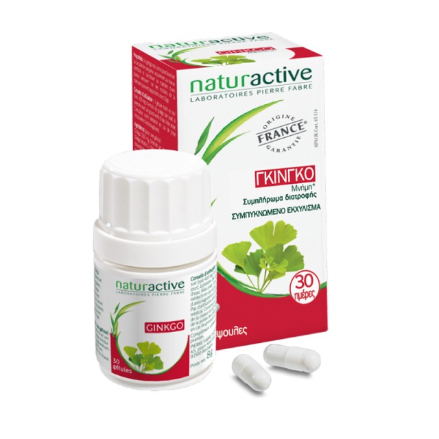 Naturactive Ginkgo Biloba Συμβάλλει στην Ενίσχυση της Μνήμης 60caps